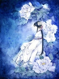 上门姑爷