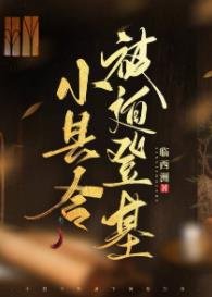 小縣令被迫登基(基建)